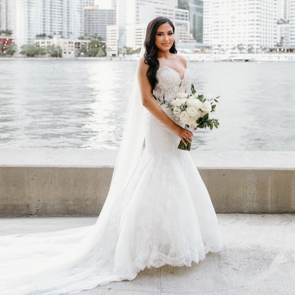 Pronovias Imelda Wedding Gown - Picture 9 of 16